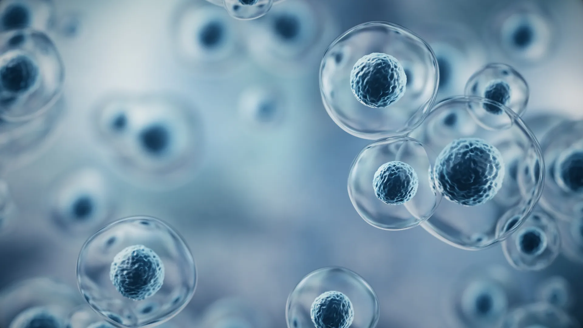 Stem Cell Therapy